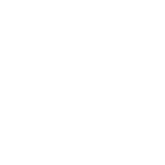 LEOWI